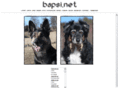 bapsi.net