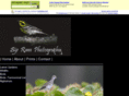 bigramphotography.com