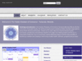 holisticchambertm.com