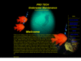 protechunderwatermaint.com