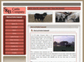 sandbcattle.com