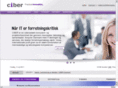 segmenta.com