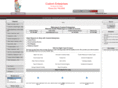 custom-enterprise.com