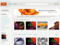 modernflowerphoto.com