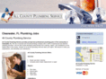 plumbingclearwater.com