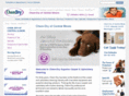 bloomingtonnormalchemdry.com