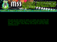 mssaudioservices.com