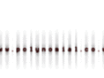 polynomial.co.uk