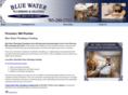bluewaterplumbingmn.com