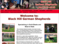 blackhillgermanshepherds.com