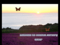 coastalnursery.com