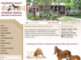 coloradovalleyvet.com