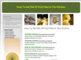 howtogetridoffruitfliesinthekitchen.net