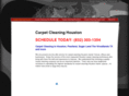 carpet-cleaning-houston.org