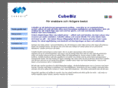 cubebiz.biz
