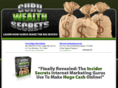 guruwealthsuccess.com
