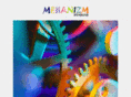 mehanizm.com