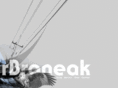 rbroneak.com