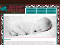 restassuredinfantnursing.com