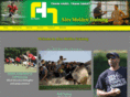 alexmolden.com