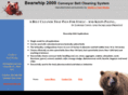 bearwhip.com