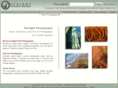 outsight.com