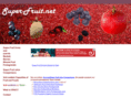 super-fruit.net