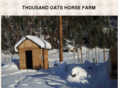 thousandoats.com