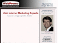 website-promotion-experts.com