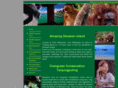 adventure-borneo.com