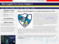 blueknightsnj1.com