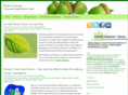 hickoryenergy.com