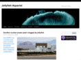 jellyfishaquariumsetup.com