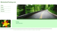momentumtowing.com