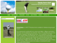 dandydonsgolf.com