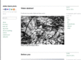 stefanbaeurle.com