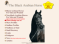 theblackarabianhorse.com