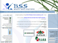 bssis.com