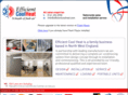efficientcoolheat.com