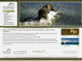 nungusafaris.com