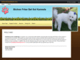 bichonfrisedelsol.com