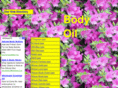 bodyoil.biz