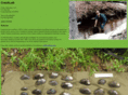 creeklab.com