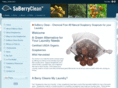 soberryclean.com