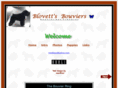 blovettbouviers.com
