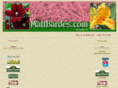 mattbardes.com