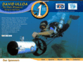 racingtohelpsharks.com