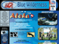 bluewildernessdiveadventures.com