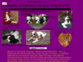 courtyardsofcamelotcavaliers.com