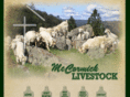 mccormicklivestock.com